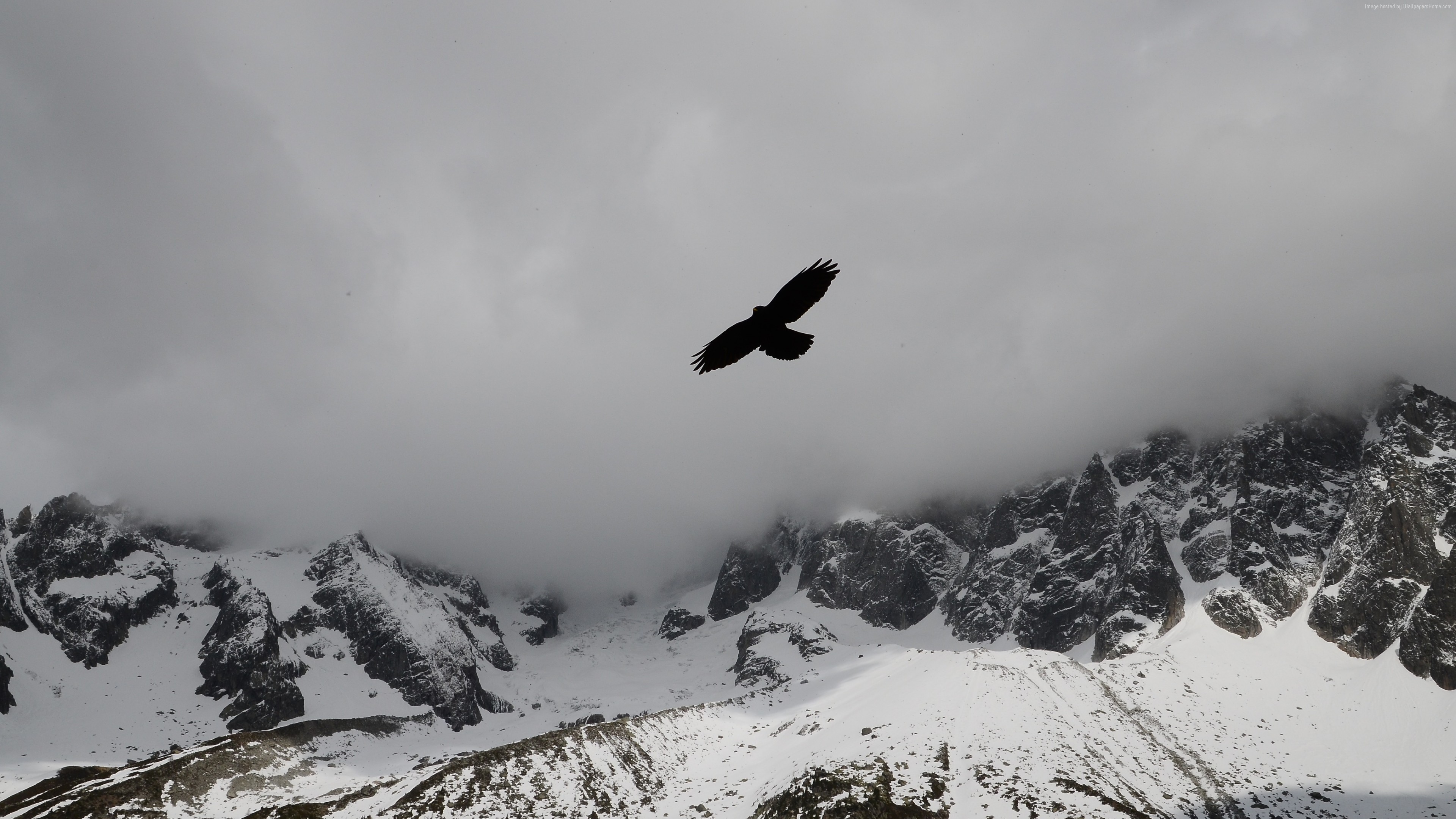 Wallpaper Eagle, mountains, flight, clouds, Animals